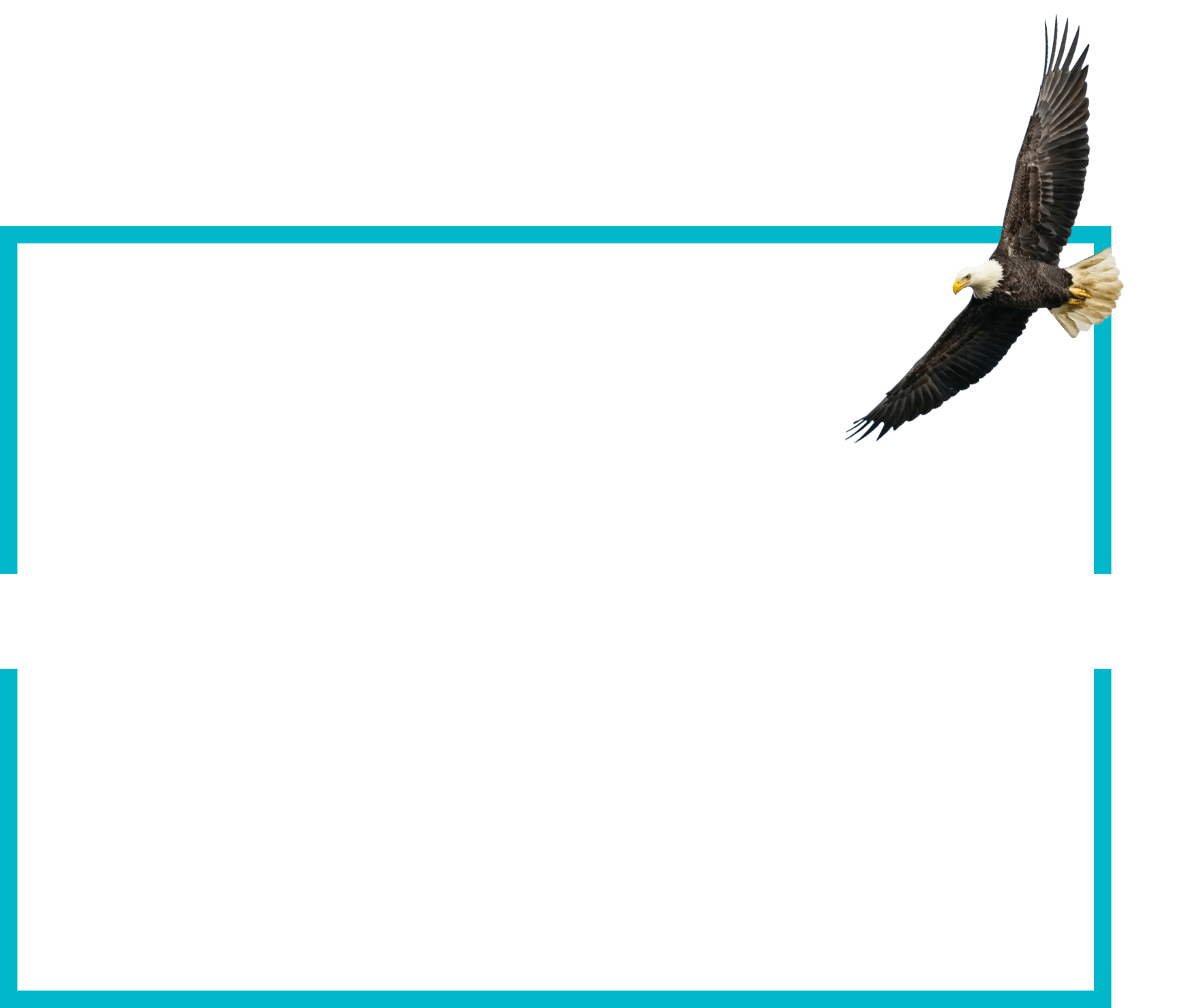 PVG INSURANCE KEY BISCAYNE visual data 6