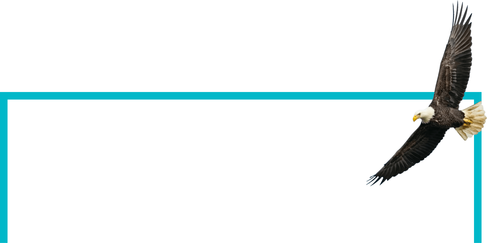PVG INSURANCE KEY BISCAYNE visual data 7